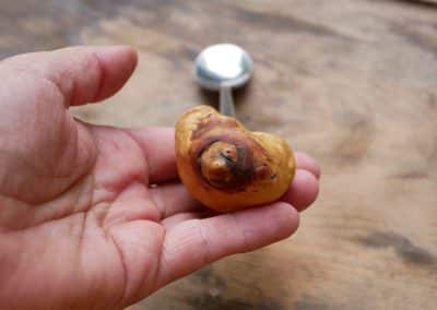 Löffel mit Baumperle