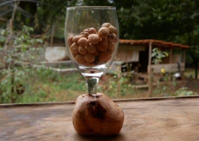 Glas mit einer eingearbeiteten Baumperle