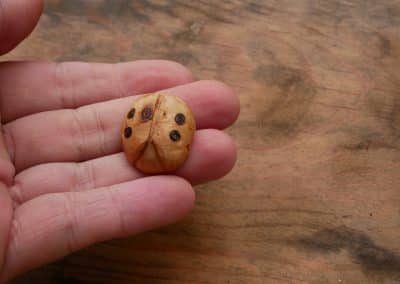 Käfer Baumperle als Handschmeichler
