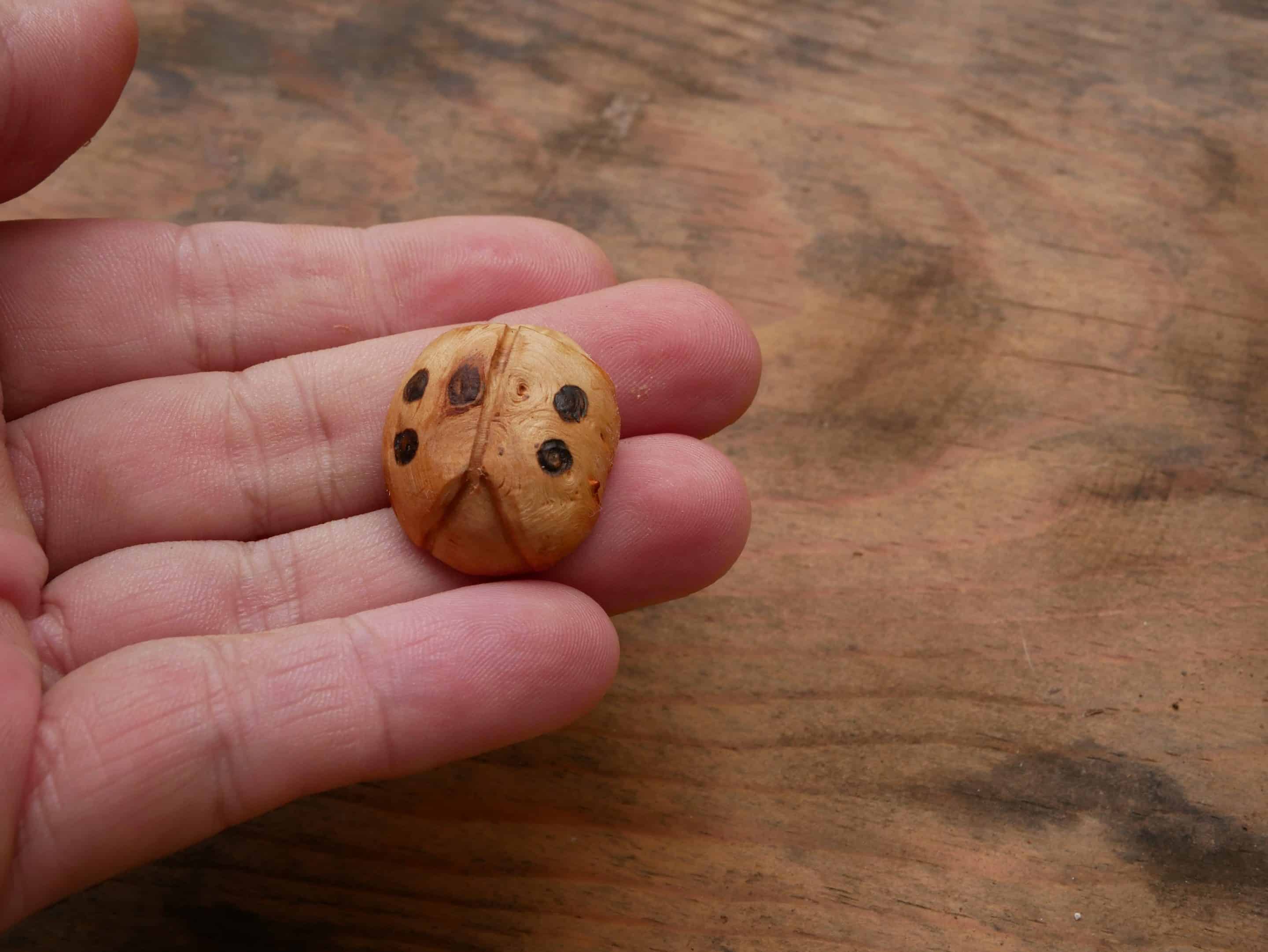 Käfer Baumperle als Handschmeichler