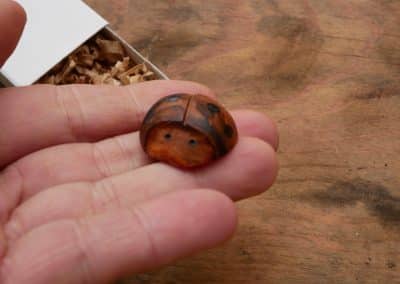 Käfer Baumperle als Handschmeichler