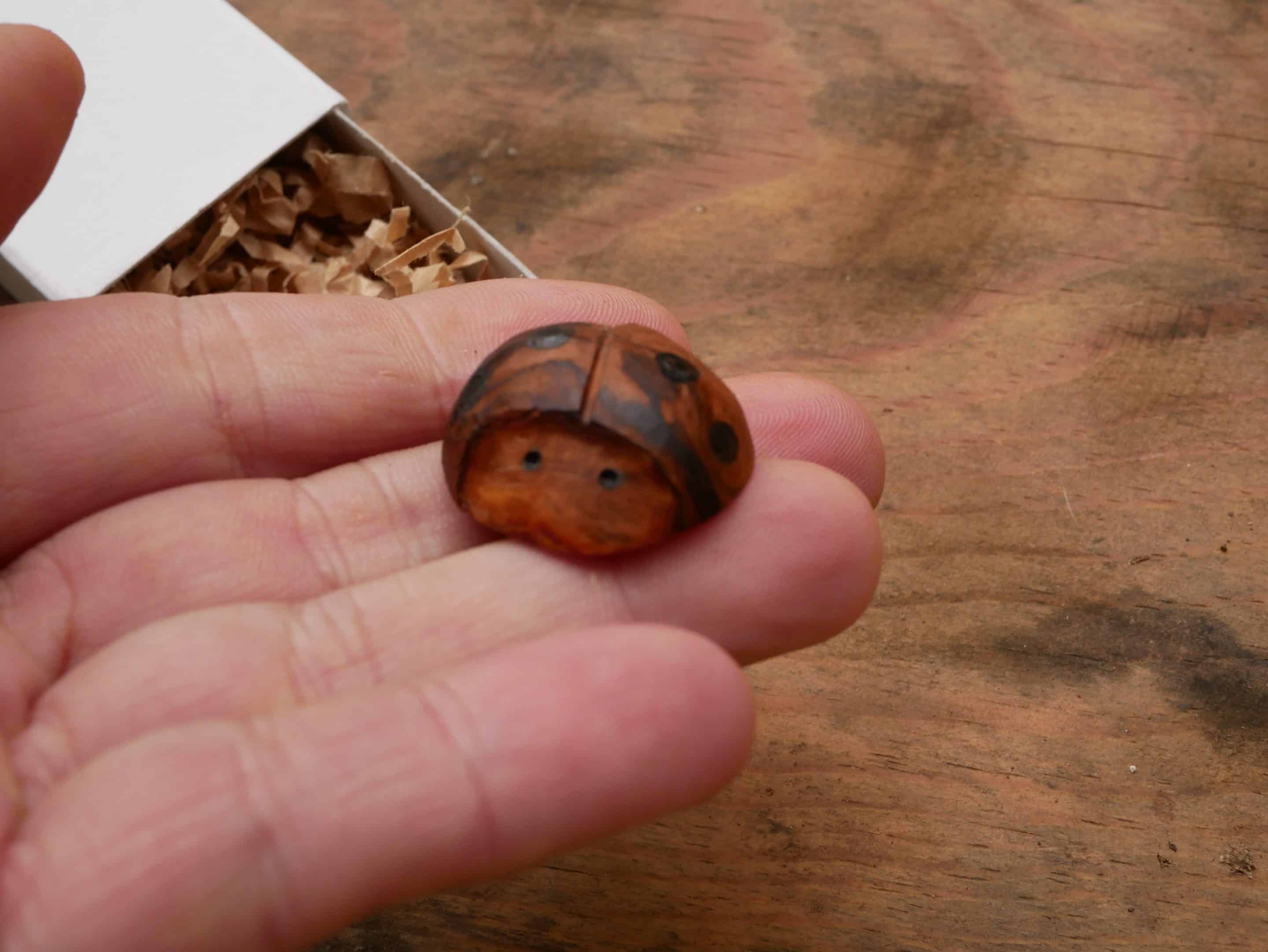 Käfer Baumperle als Handschmeichler
