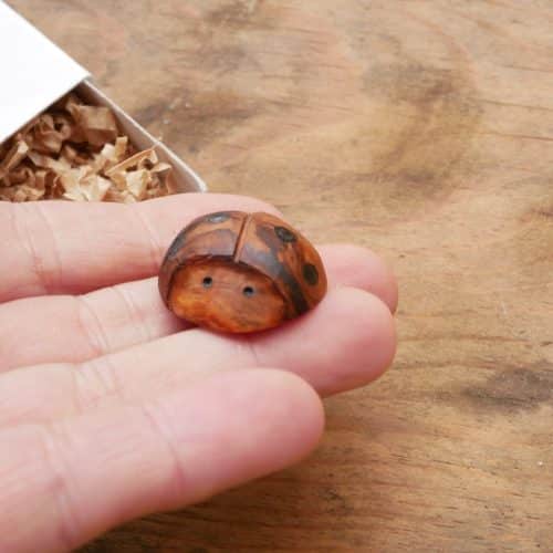 Käfer Baumperle als Handschmeichler