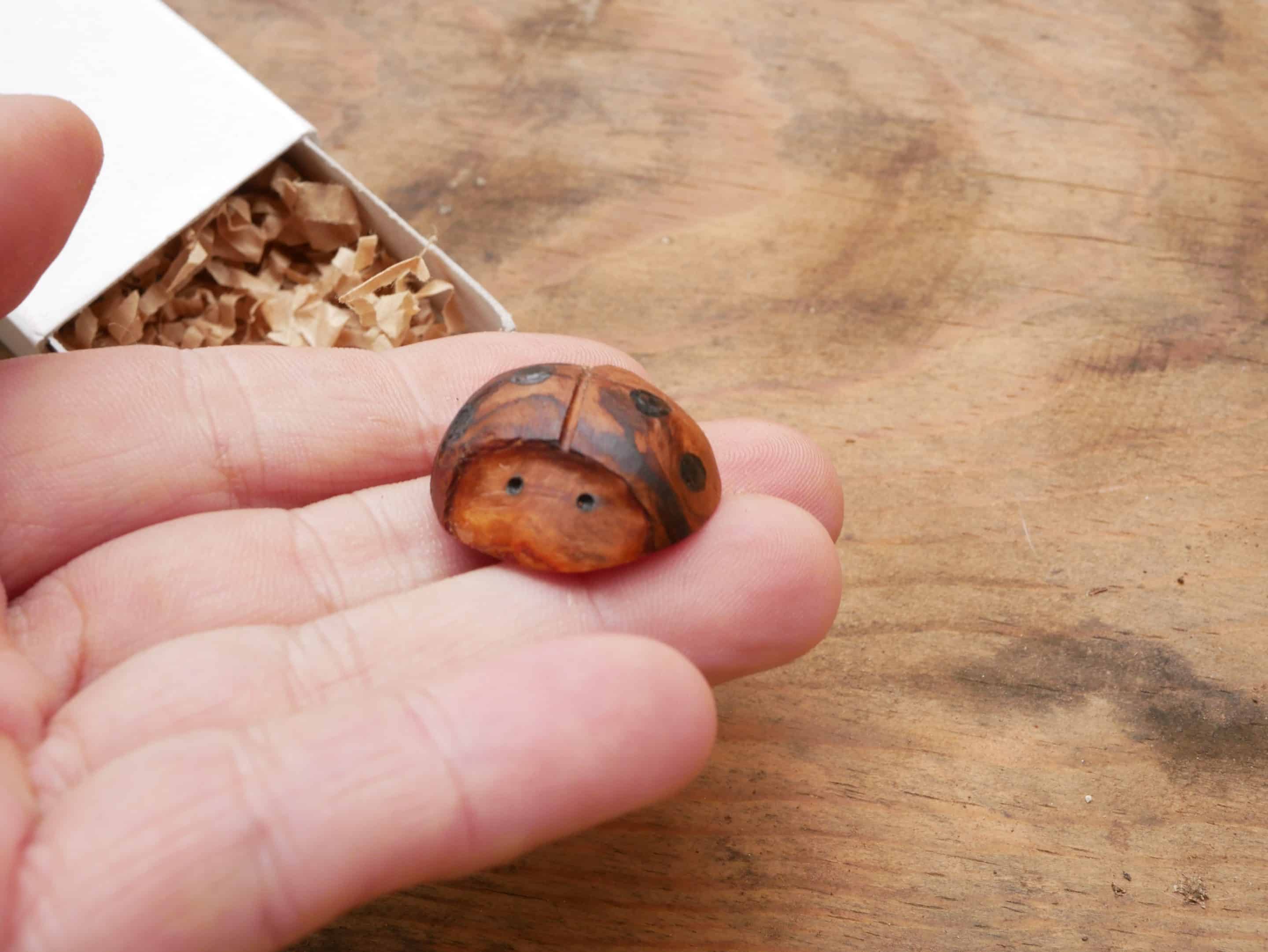 Käfer Baumperle als Handschmeichler