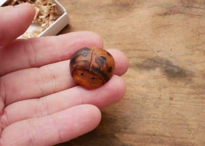 Käfer Baumperle als Handschmeichler