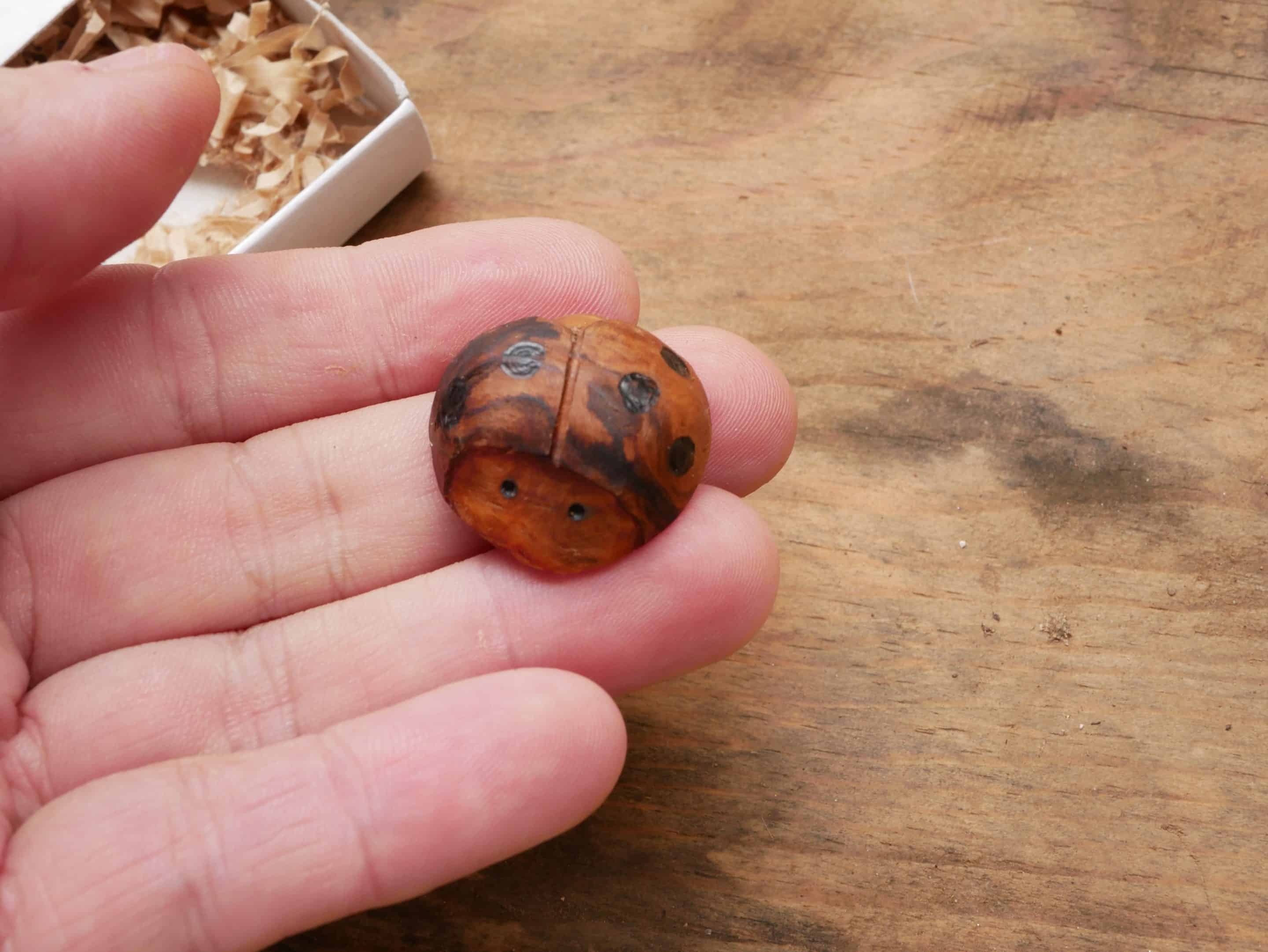 Käfer Baumperle als Handschmeichler