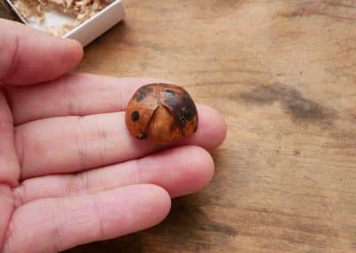 Käfer Baumperle als Handschmeichler