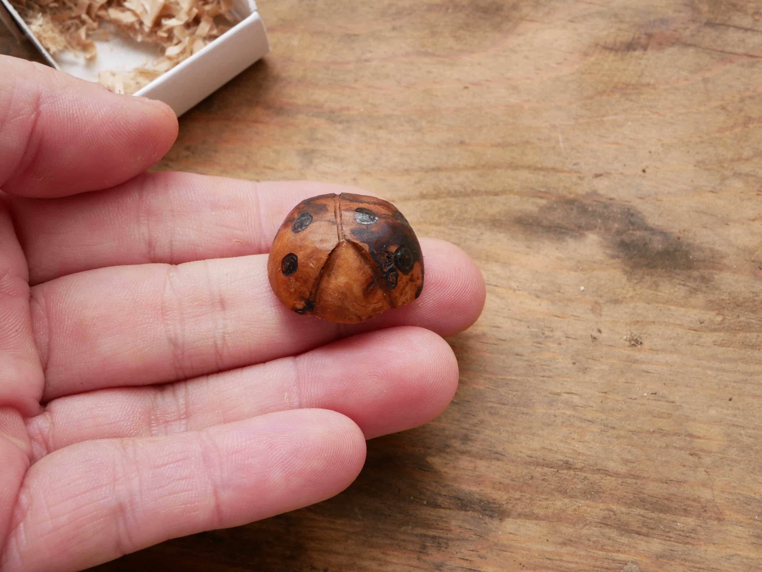 Käfer Baumperle als Handschmeichler
