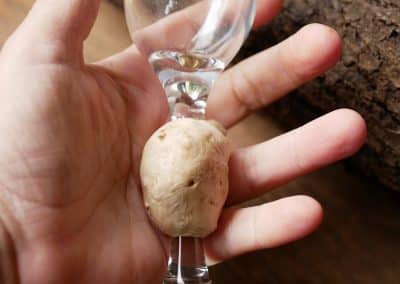 Likörglas mit Baumperle
