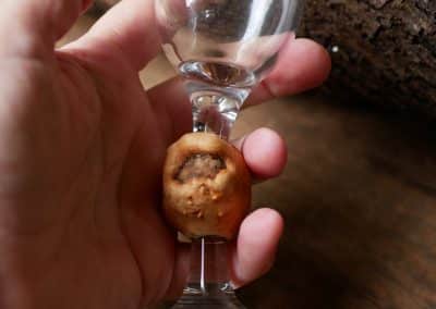 Likörglas mit Baumperle
