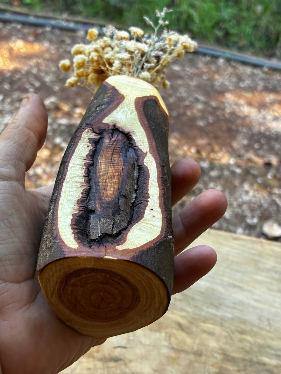 Vase für Trockenblumen aus Mimose