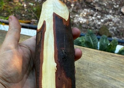 Vase für Trockenblumen aus Mimose