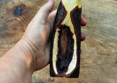 Vase für Trockenblumen aus Mimose