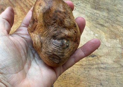 Vase für Trockenblumen aus Baumperle