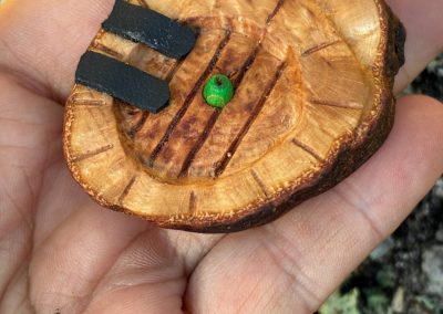 Hobbit Tür aus Baumperle