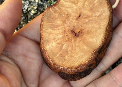 Hobbit Tür aus Baumperle