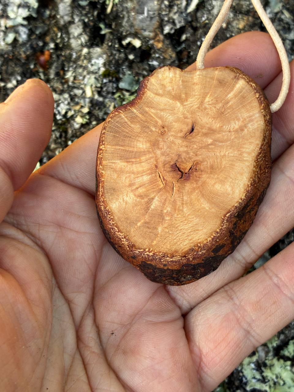 Hobbit Tür aus Baumperle