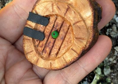 Hobbit Tür aus Baumperle