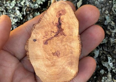 Hobbit Tür aus Baumperle