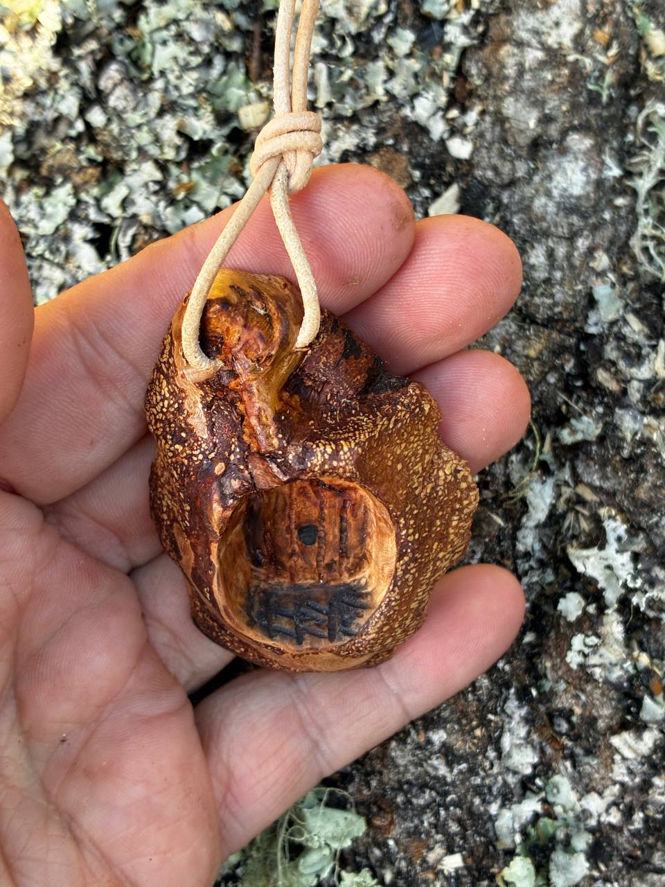 Hobbit Tür aus Baumperle