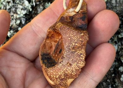 Hobbit Tür aus Baumperle