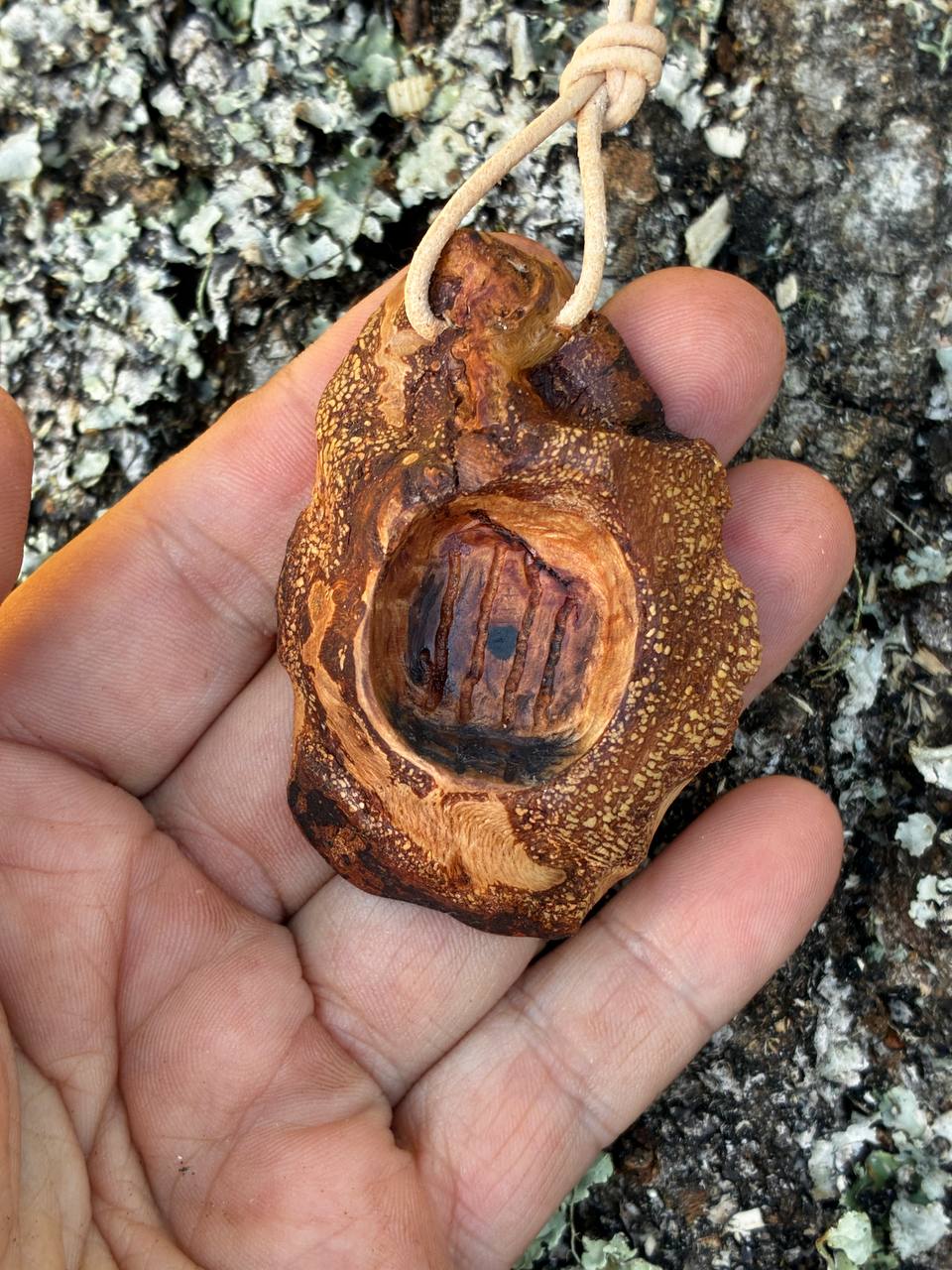 Hobbit Tür aus Baumperle