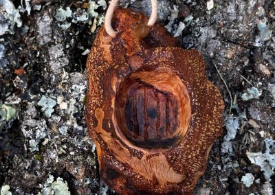 Hobbit Tür aus Baumperle