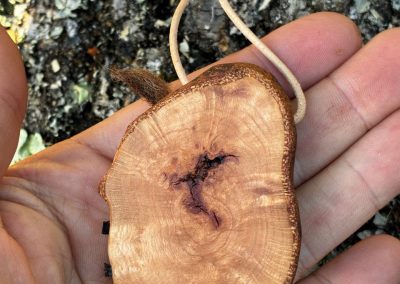 Hobbit Tür aus Baumperle