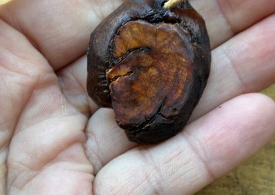 Hobbit Tür aus Baumperle