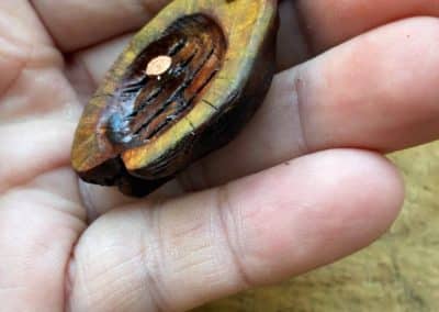 Hobbit Tür aus Baumperle