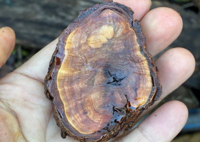 Hobbit Tür aus Baumperle