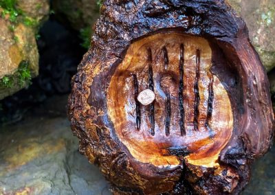 Hobbit Tür aus Baumperle