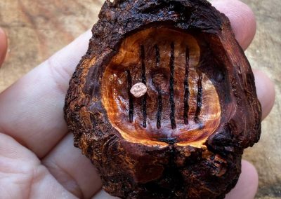 Hobbit Tür aus Baumperle