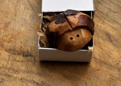 Käfer aus Baumperle geschnitzt. Handschmeichler Glückskäfer