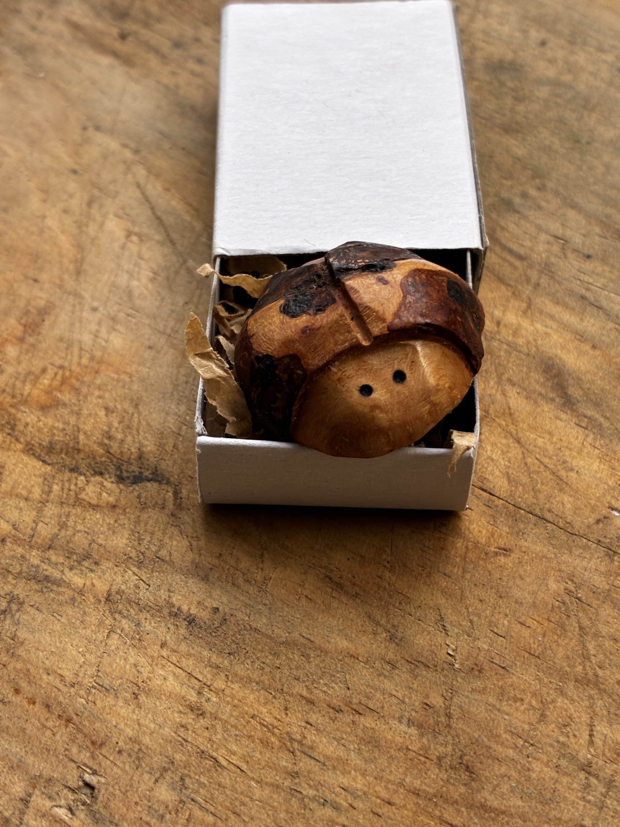 Käfer aus Baumperle geschnitzt. Handschmeichler Glückskäfer