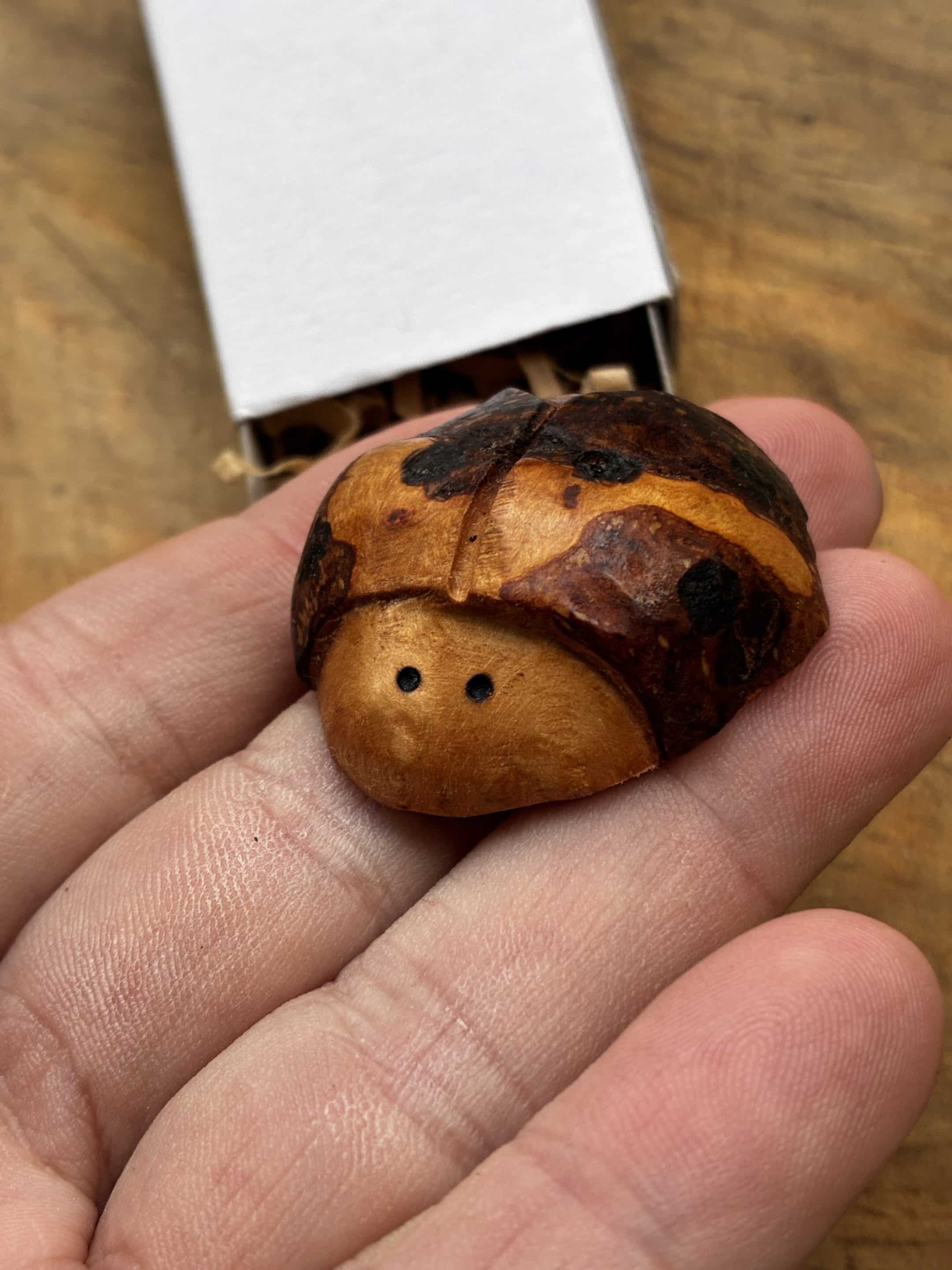 Käfer aus Baumperle geschnitzt. Handschmeichler Glückskäfer
