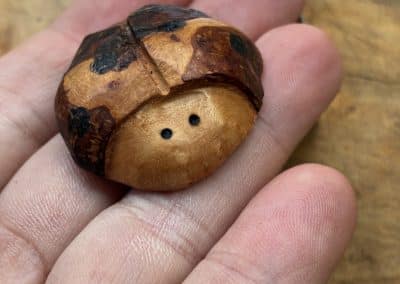 Käfer aus Baumperle geschnitzt. Handschmeichler Glückskäfer