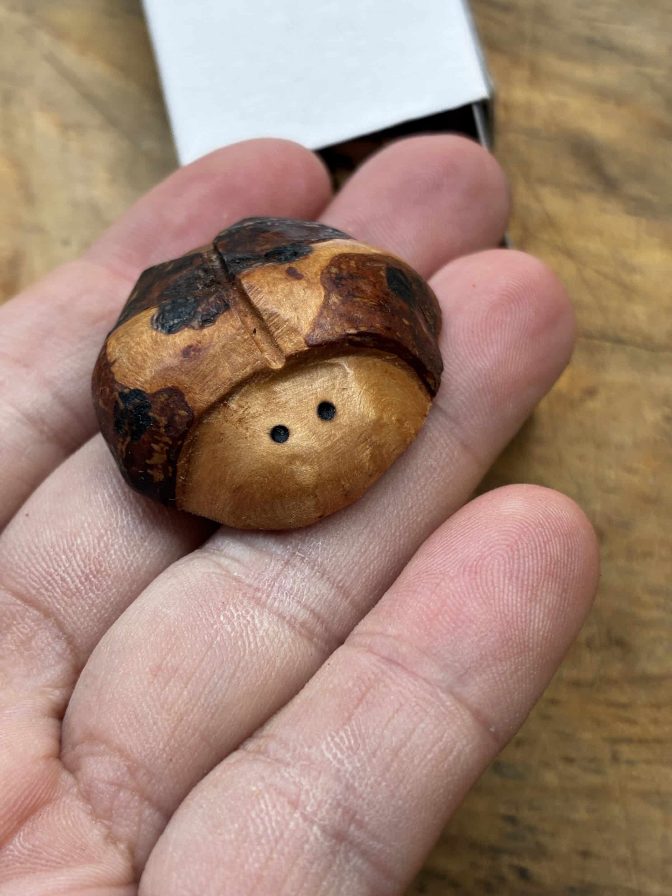 Käfer aus Baumperle geschnitzt. Handschmeichler Glückskäfer