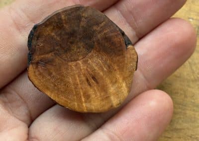 Käfer aus Baumperle geschnitzt. Handschmeichler Glückskäfer