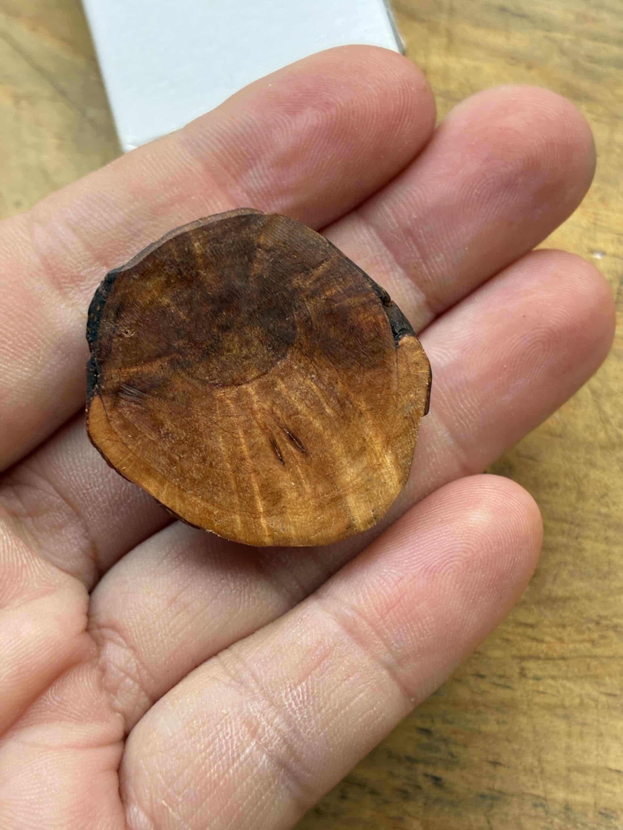 Käfer aus Baumperle geschnitzt. Handschmeichler Glückskäfer