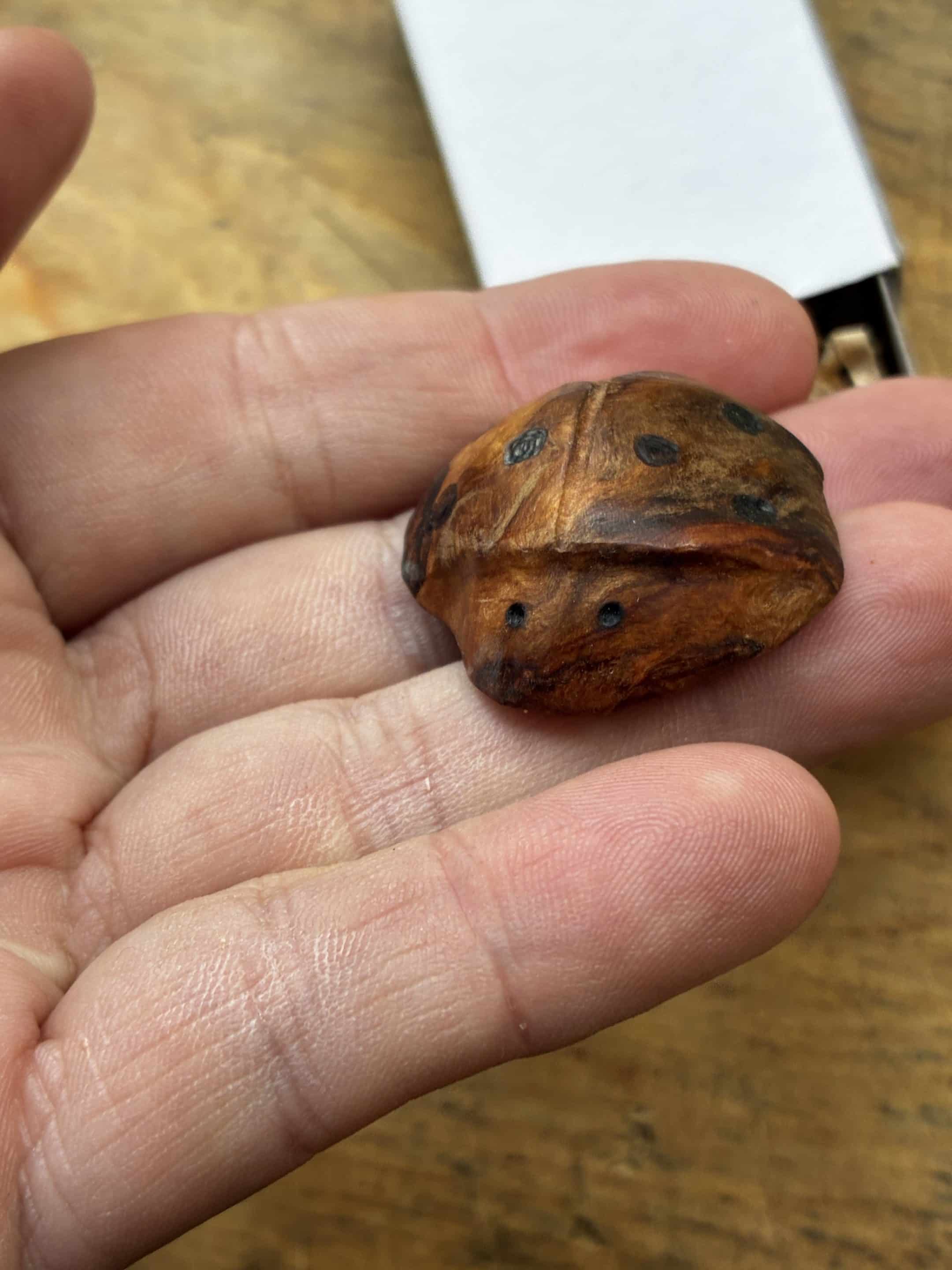 Käfer aus Baumperle geschnitzt. Handschmeichler Glückskäfer