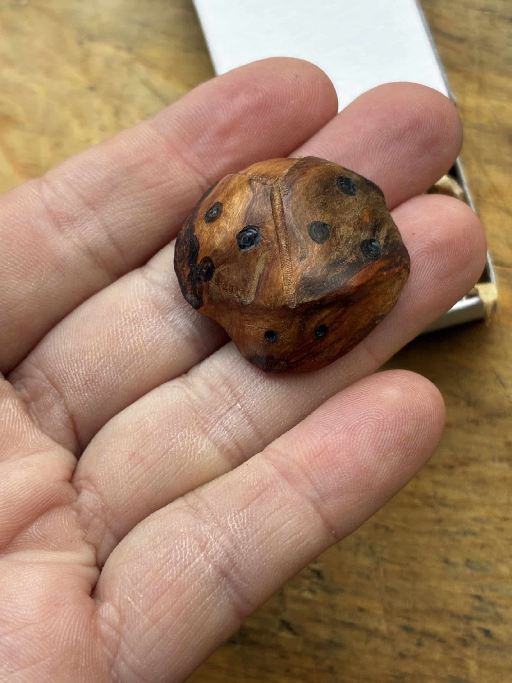 Käfer aus Baumperle geschnitzt. Handschmeichler Glückskäfer