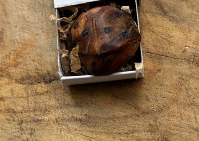 Käfer aus Baumperle geschnitzt. Handschmeichler Glückskäfer