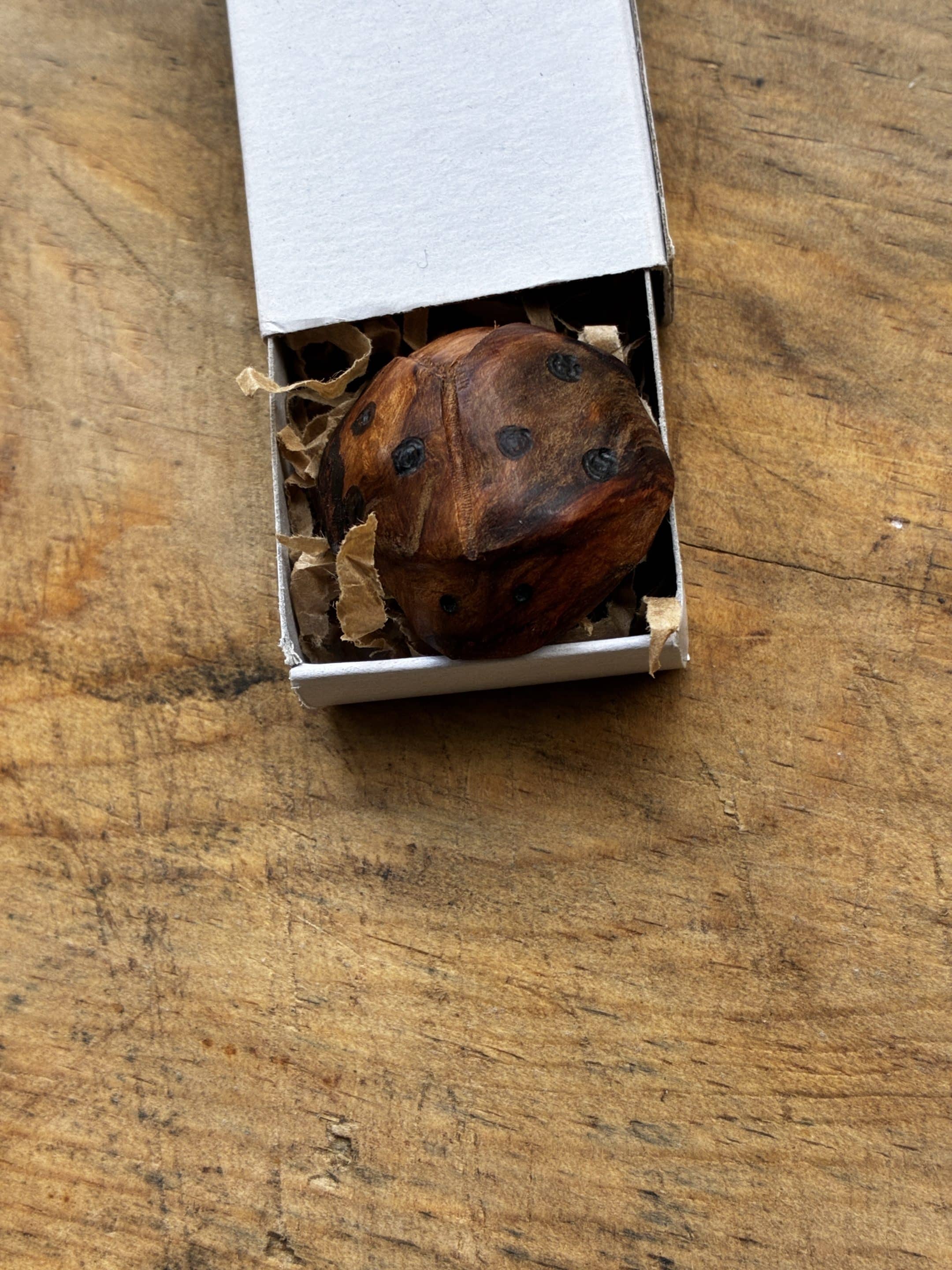 Käfer aus Baumperle geschnitzt. Handschmeichler Glückskäfer