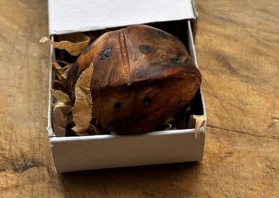 Käfer aus Baumperle geschnitzt. Handschmeichler Glückskäfer