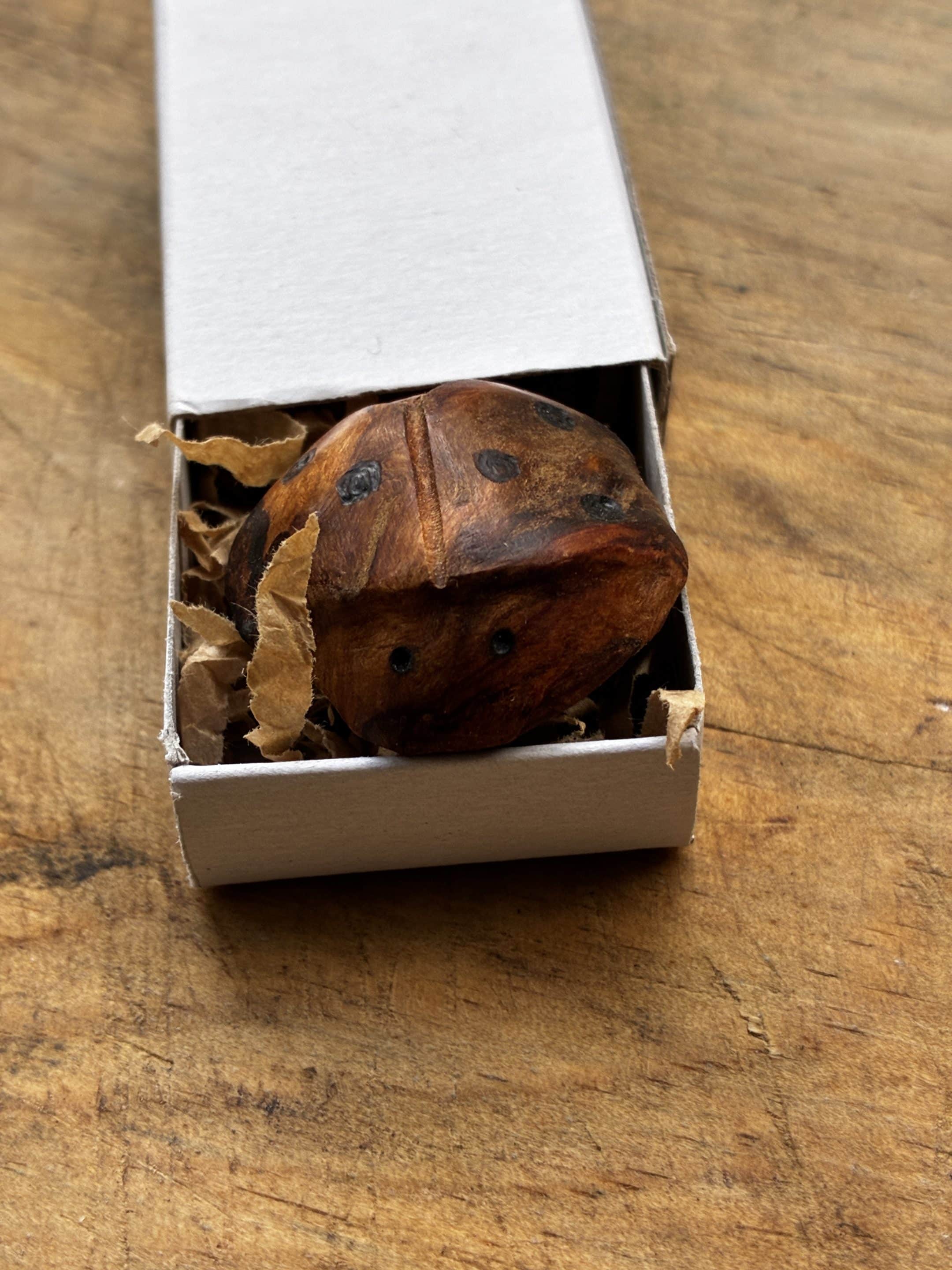 Käfer aus Baumperle geschnitzt. Handschmeichler Glückskäfer