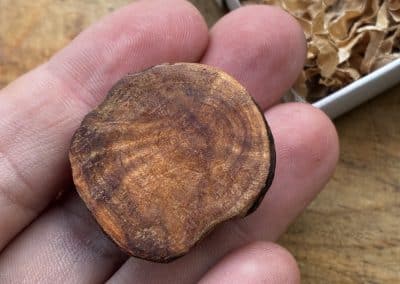 Käfer aus Baumperle geschnitzt. Handschmeichler Glückskäfer