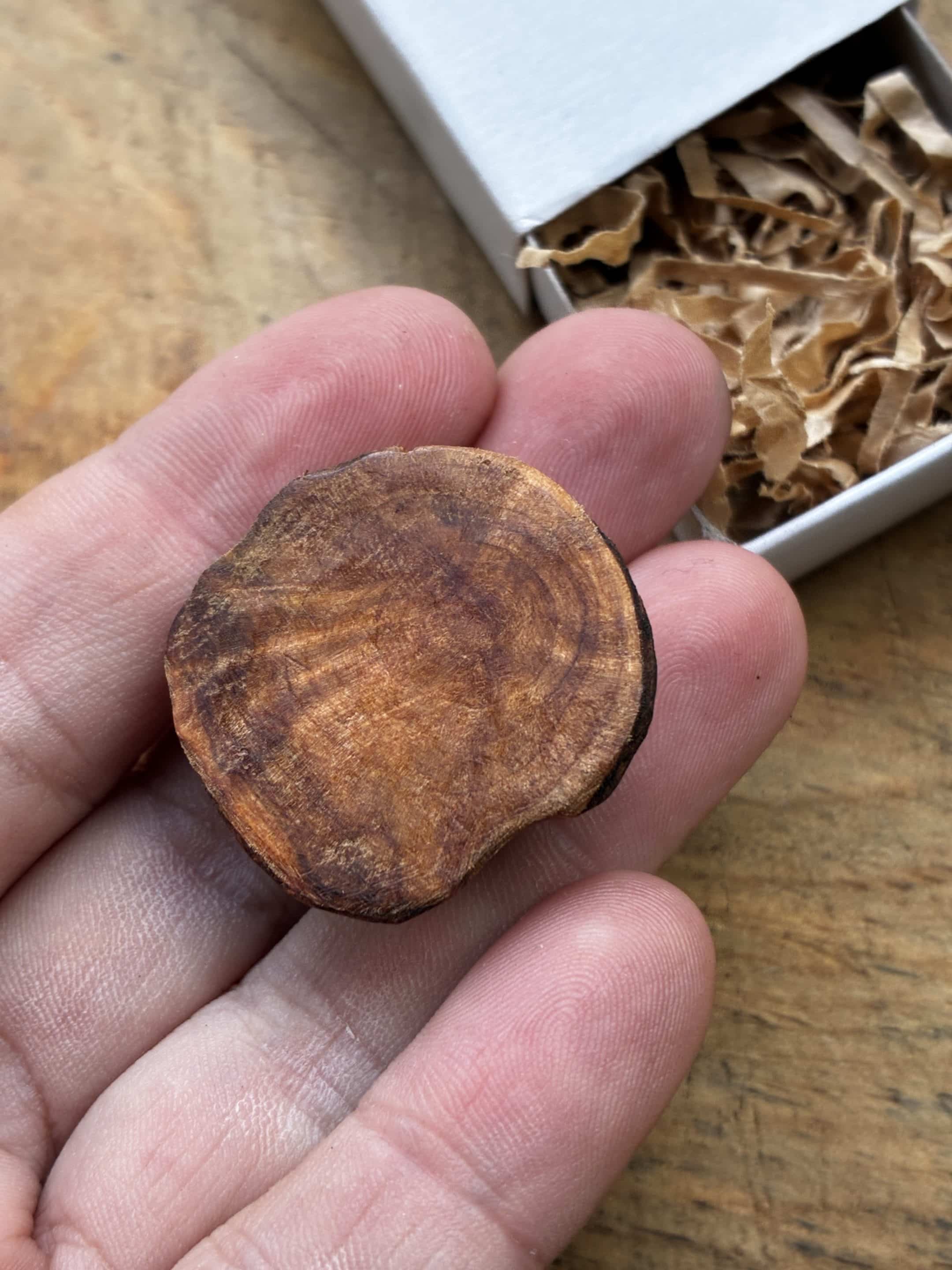 Käfer aus Baumperle geschnitzt. Handschmeichler Glückskäfer