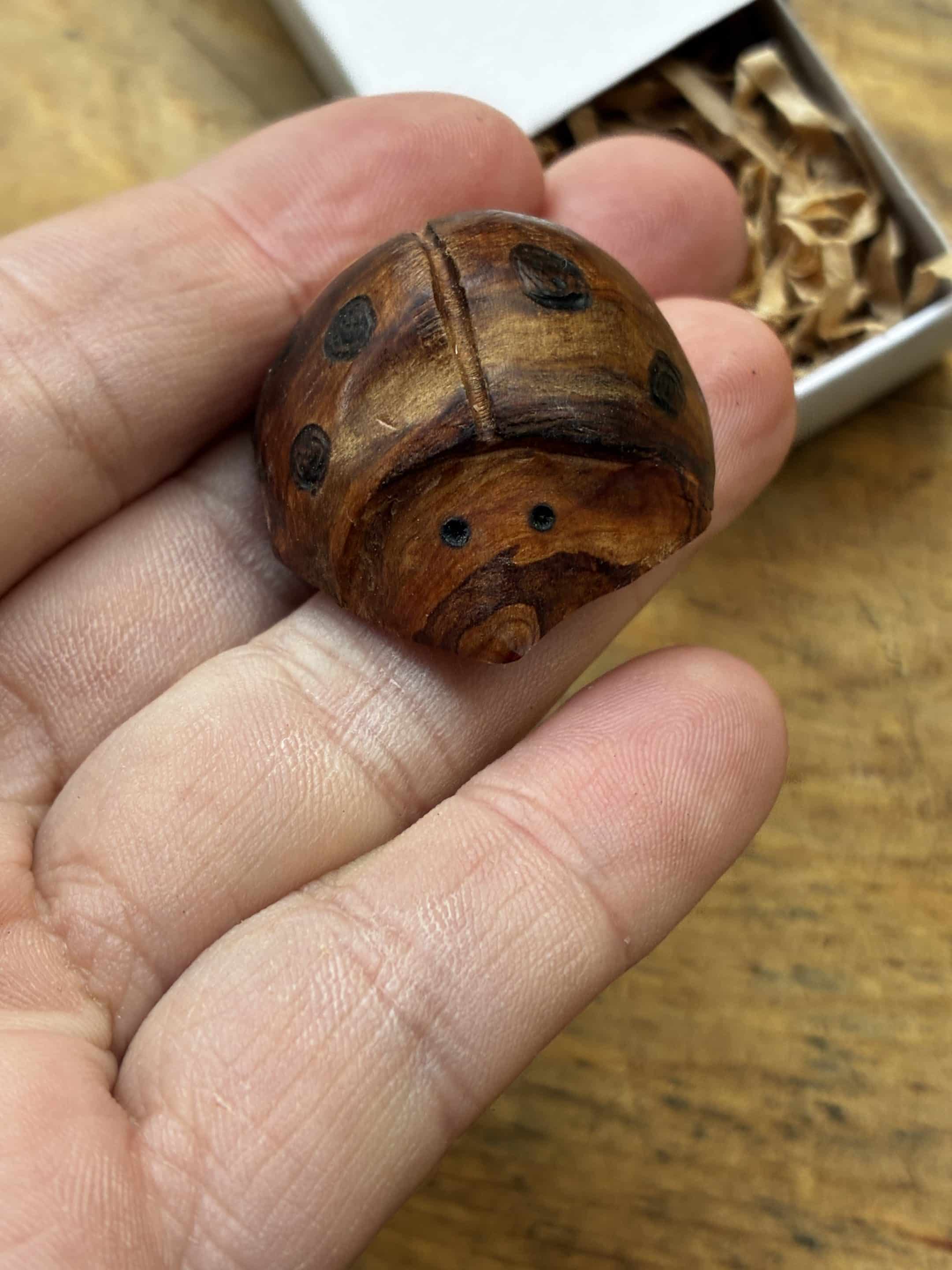 Käfer aus Baumperle geschnitzt. Handschmeichler Glückskäfer