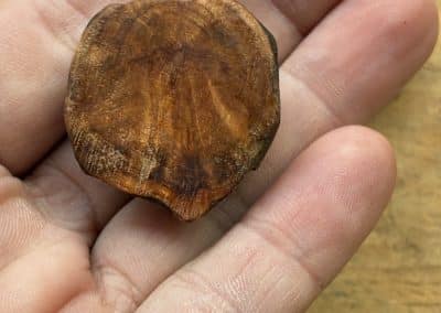 Käfer aus Baumperle geschnitzt. Handschmeichler Glückskäfer